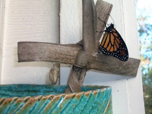 Butterfly & Cross